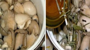 Маринованные вешенки за сутки