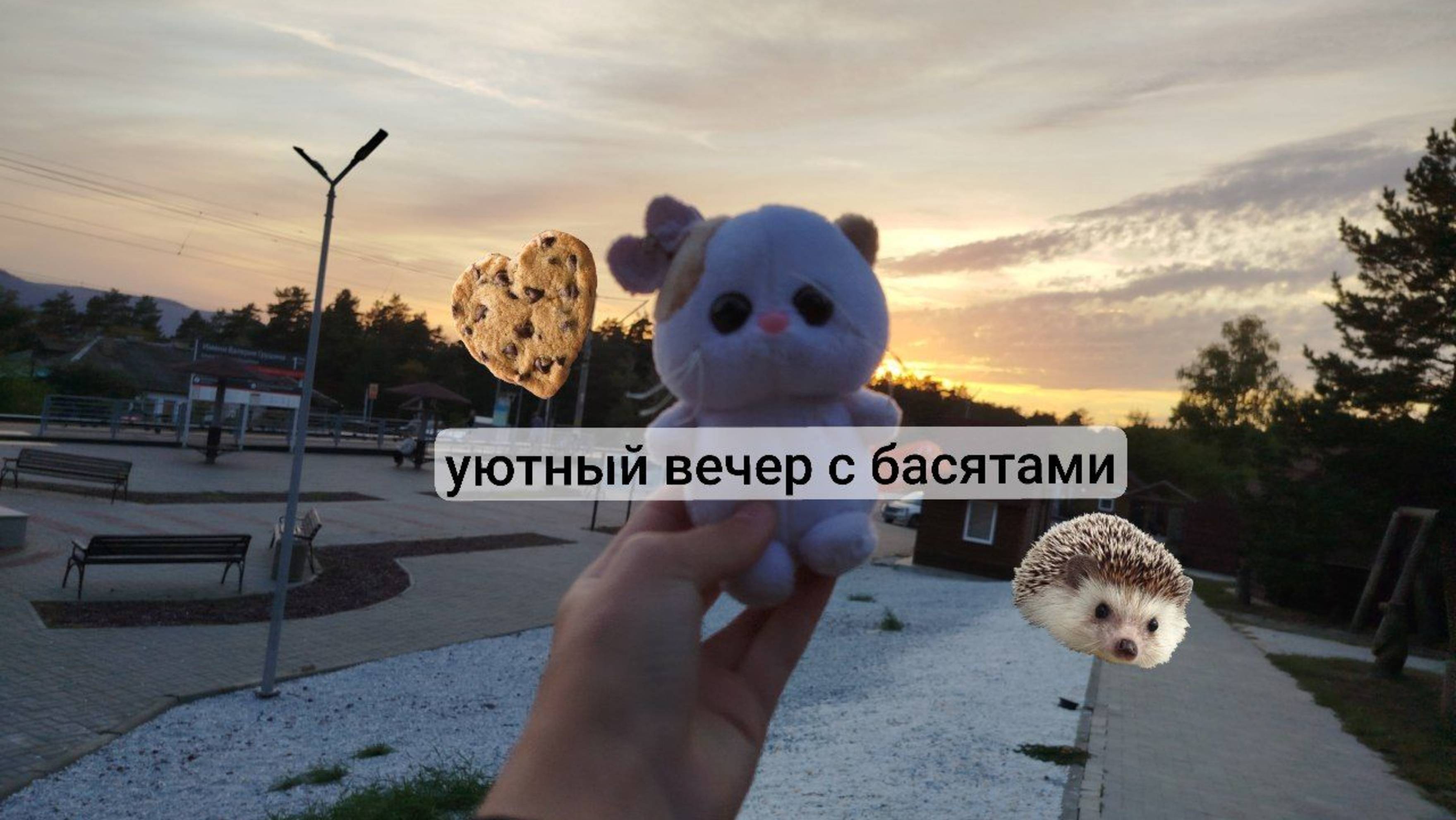 УЮТНЫЙ ВЕЧЕР С БАСЯТАМИ|🍁💆🧘 смотреть онлайн