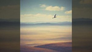 Александр Пушкин — Птичка божия не знает (вар1)