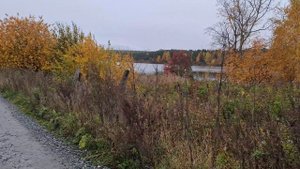 девочки пойдёмте прогуляться