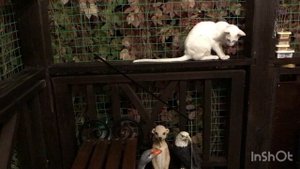 Тёплый вечер в сентября…