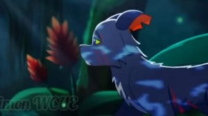 Коты воители/Мап Горелого/Cheri Cheri Lady