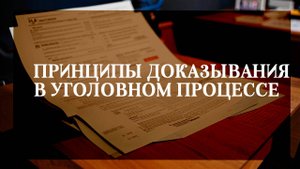 Принципы доказывания в уголовном процессе