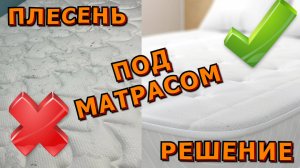 🍀🪓НАКОЛХОЗИМ🔨🍀Плесень под матрасом❗🍀Как предотвратить и/или победить❓🍀