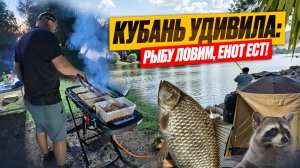 ЕНОТ УКРАЛ ВЕСЬ УЛОВ! ДИКАЯ РЫБАЛКА НА КУБАНИ И ВКУСНЫЕ КРЫЛЫШКИ НА ГРИЛЕ!