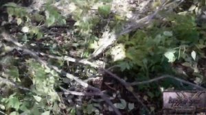 УГОЛОК ПРИМОРЬЕ.