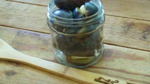 Маринованные сливы с чесноком