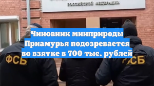 Чиновник минприроды Приамурья подозревается во взятке в 700 тыс. рублей