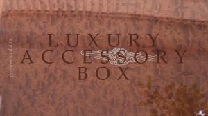 ХРАНЕНИЕ АКСЕССУАРОВ #шкатулкадляаксессуаров #астонмартин #лагондаастонмартин #хранениеаксессуаров