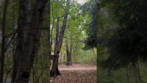 Любовь в мелочах 2