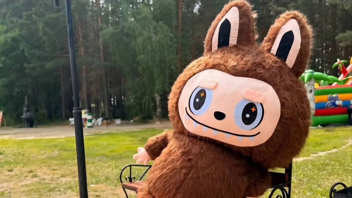 Лабубу и Лисичка поздравят в Тихорецке, Павловской, Новопокровской. Аниматоры смотреть онлайн