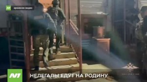 Более двухсот мигрантов выдворили из Югры приставы