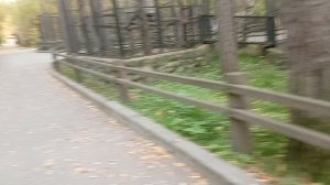 1000005964.mp4зоопарк