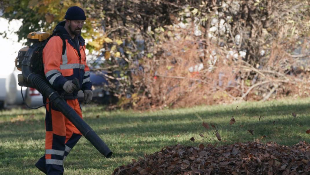 Жители Петербурга жалуются на шумную уборку листьев