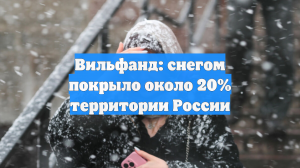 Вильфанд: снегом покрыло около 20% территории России