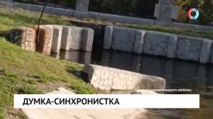 Думка-синхронистка