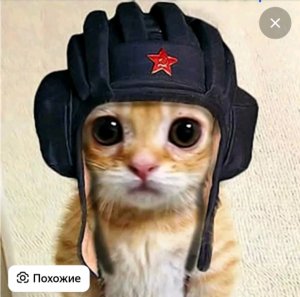 гта5