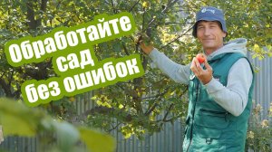 5 ошибок в ОБРАБОТКЕ САДА ОСЕНЬЮ