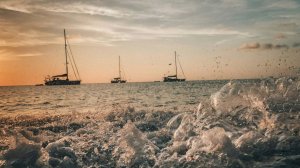 День мечты. Такое утро