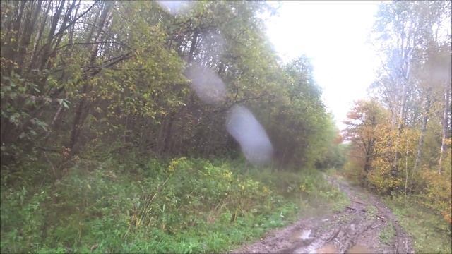 Двадцать лет не был в этих угодьях, и ещё двадцать не поеду))) Выезд 24.09.2025г. смотреть онлайн