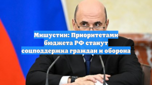Мишустин: Приоритетами бюджета РФ станут соцподдержка граждан и оборона