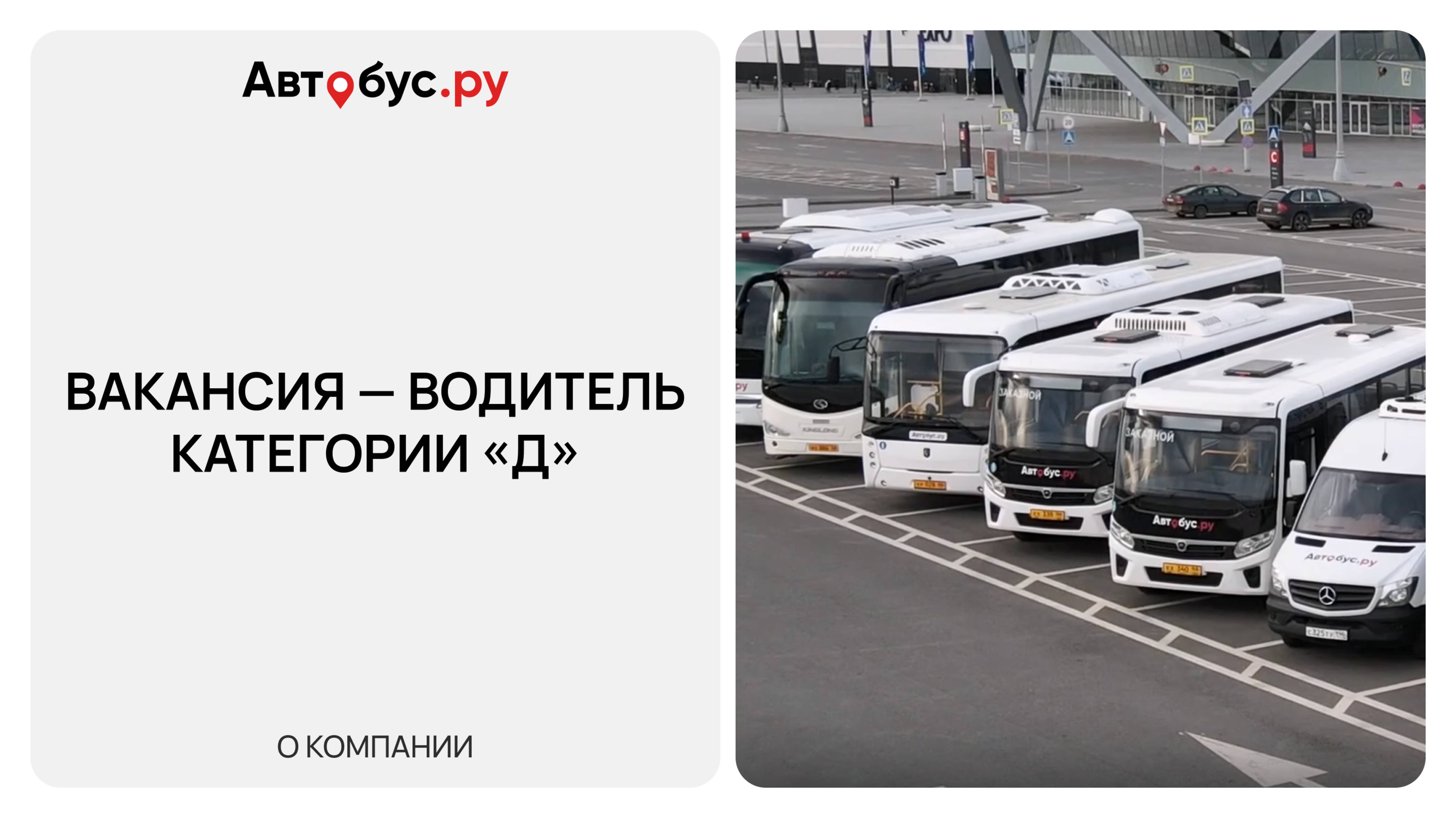 Автобус.ру. Вакансия — водитель категории «Д»