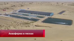 🐟Синьцзянскую рыбу выращивают посреди пустыни