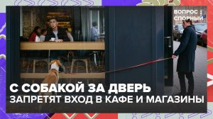 В России хотят ужесточить правила для владельцев животных | Вопрос спорный — Москва 24 | Контент