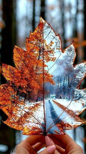 Хорошие красивые пожелания с добрым днем - С добрыми пожеланиями нового дня