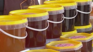 Около 45 тысяч гостей собрал Фестиваль туризма в Хабаровске