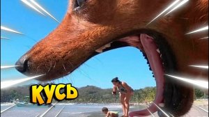 Я ржал до слез 😂 5 Минут смеха 2025 Смешные видео Лучшие Лютые ПРИКОЛЫ Сентября! Подборка