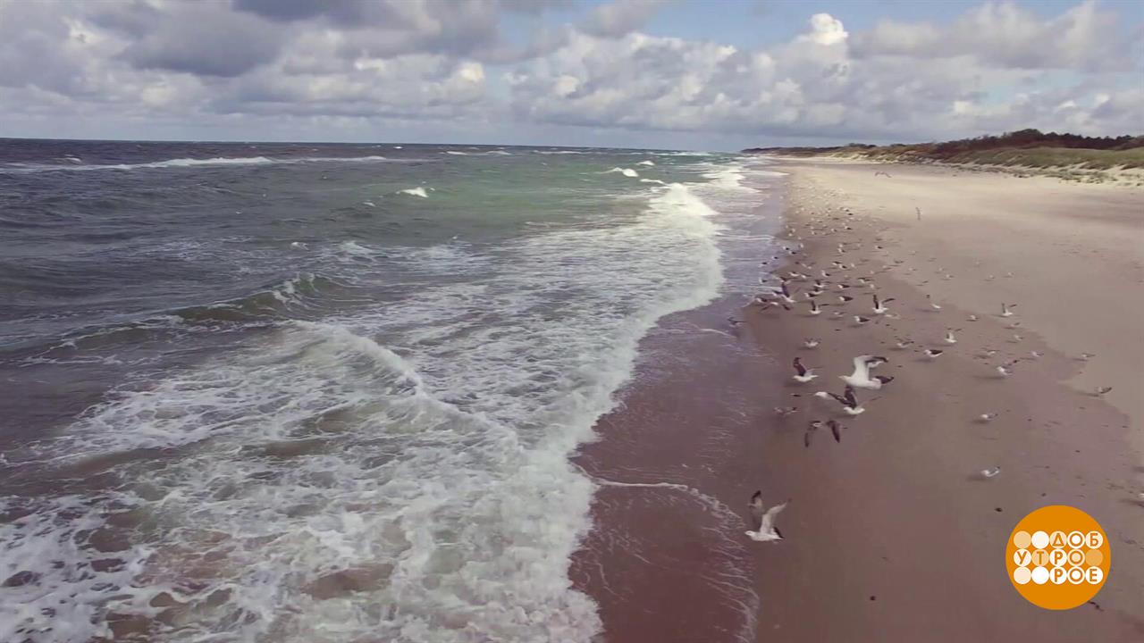 Море, ты почему волнуешься? Доброе утро. Фрагмент выпуска от 25.09.2025