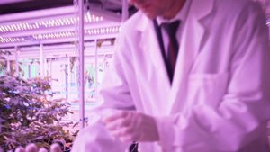 Сорокопудов Алексей стал победителем конкурса «Студенческий стартап»