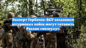 Эксперт Горбачев: ВСУ созданием штурмовых войск могут готовить России «оплеуху»