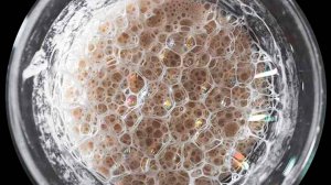 Выведение жидкой пшеничной закваски. Подробное руководство.