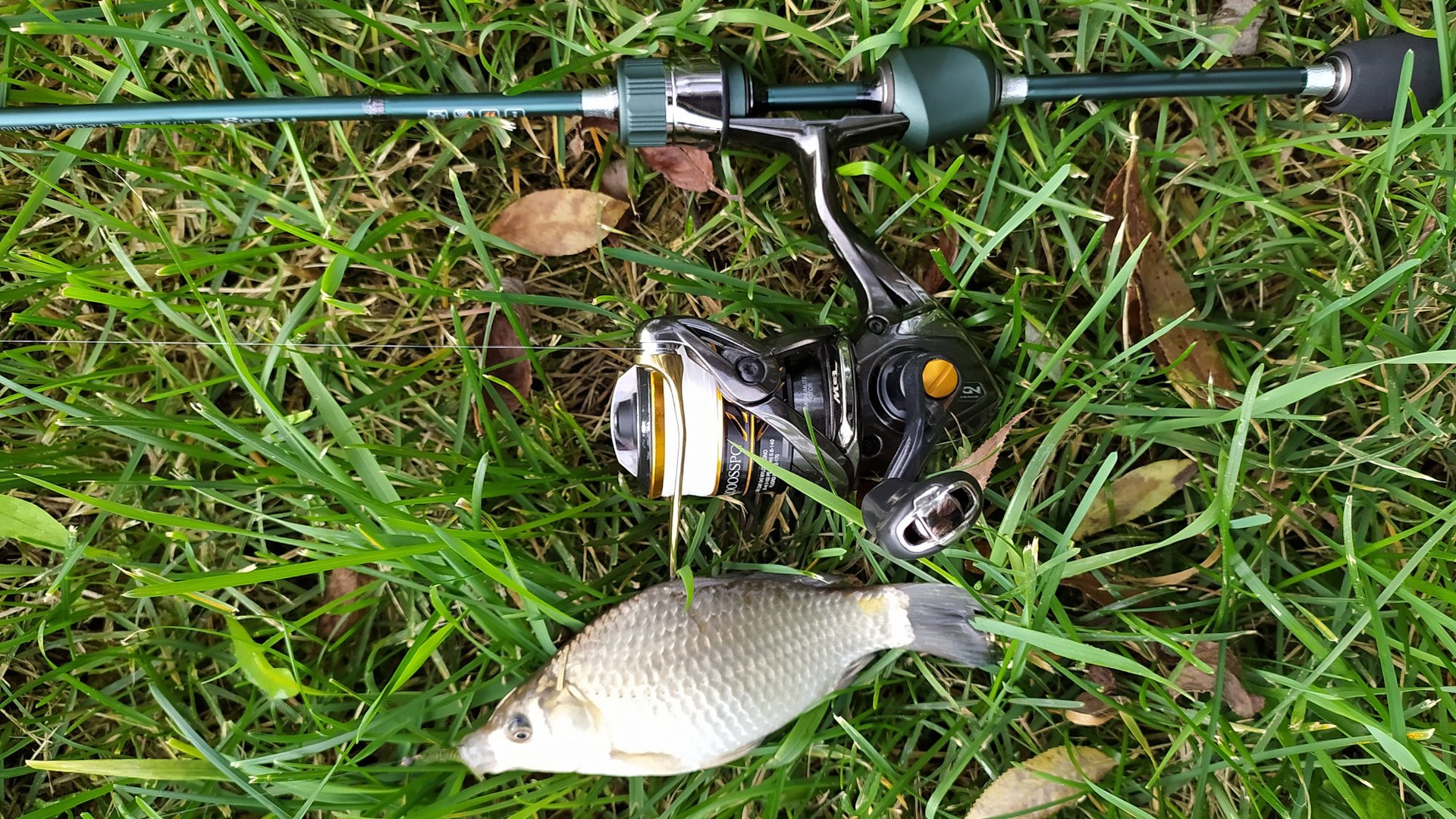 Пробный выход с DAYO Prestige 175 (0,2-0,8гр)