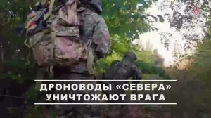 💥 Специалисты отряда ударных БПЛА группировки войск «Север» выявили и уничтожили замаскированную...