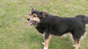 я снимала этот vlog☆ давно