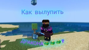Показываю как вылупить дракона в Майнкрафте из дополнения Dragon lite!!!🐲🐲