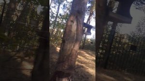 VID_20250920_142323.mp4