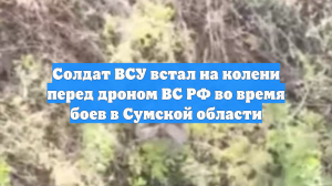 Солдат ВСУ встал на колени перед дроном ВС РФ во время боев в Сумской области