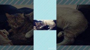 Два берега.mp4