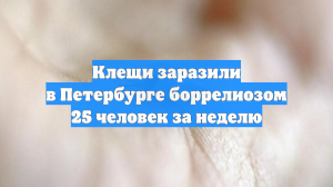 Клещи заразили в Петербурге боррелиозом 25 человек за неделю