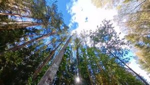 Народную тропу обустроили в деревне Нагорное