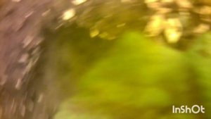 На Яве за раками!