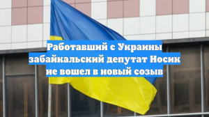 Работавший с Украины забайкальский депутат Носик не вошел в новый созыв