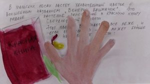 Хранитель леса Солнечный ЛУЧ ул.Щорса, 39_Студия мультимедиа Пчелиный рой г.Екатеринбург 2025_