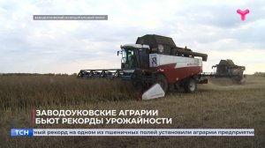 Заводоуковские аграрии бьют рекорды урожайности