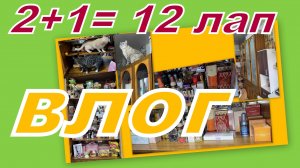 ВЛОГ: НОВОЕ ХРАНЕНИЕ АРОМАТОВ, РАСШИРЯЕМ ГРАНИЦЫ, УБОРКА ПОЛНЫМ ХОДОМ!