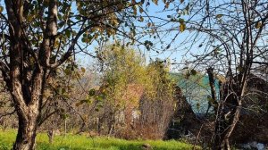 О неофашизме, как я его вижу!